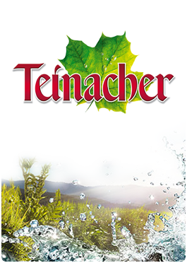 teinacher_logo_mit_titel 3x2.png
