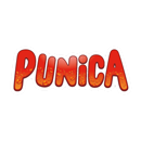 punica_abgabe.png