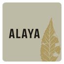 alaya_abgabe.png