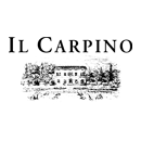 il_carpino_abgabe.png