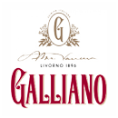 galliano_abgabe.png